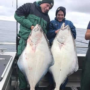 Meet your Posher, Brady